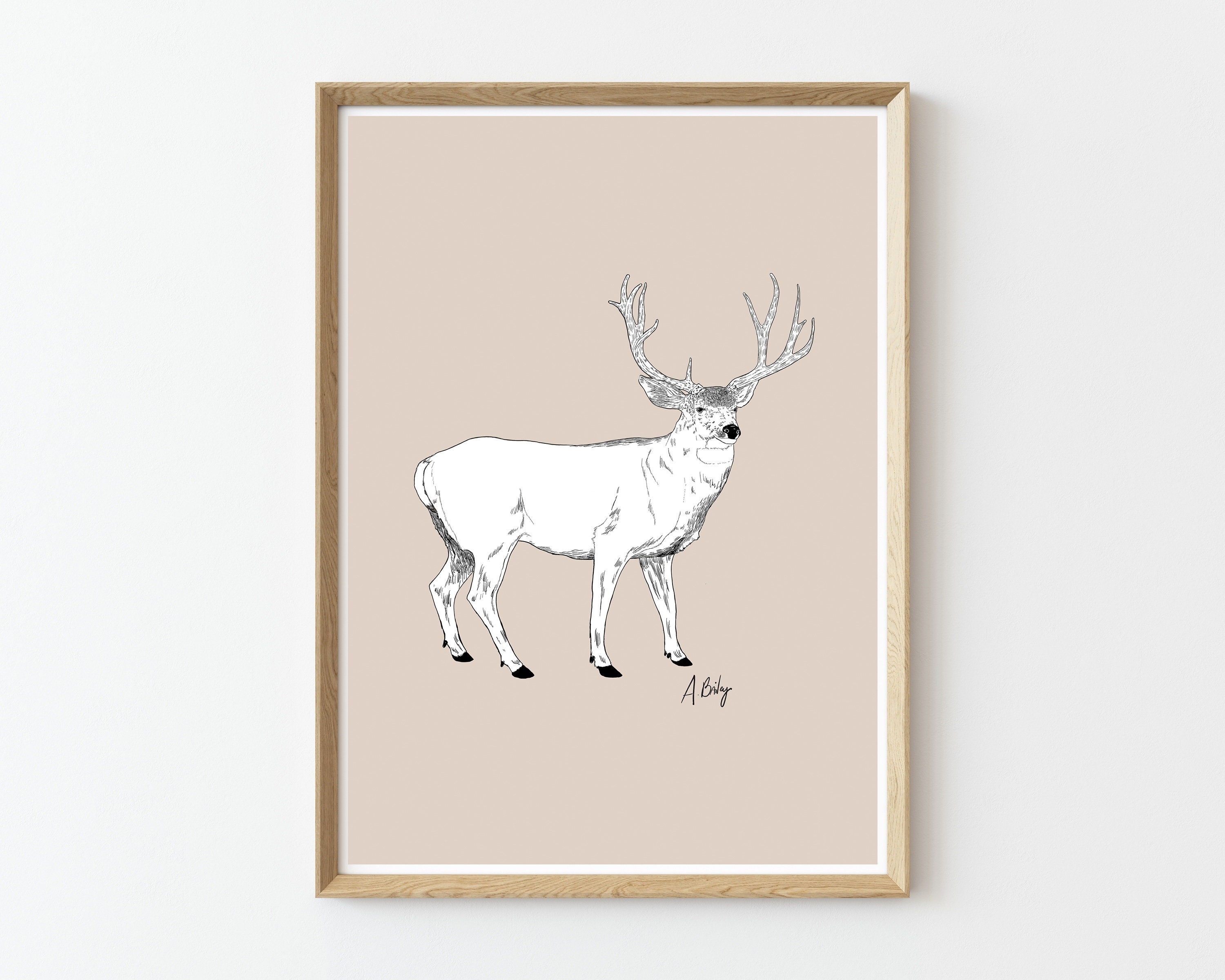 Modern Deer Art Print | Buck | Antlers | Drawing | Pen and Ink | Game Animals | Wild Game | Woodland Animals | Large Wall Art | Fine Art Modern Deer Art Print | Buck | Antlers | Drawing | Pen and Ink | Game Animals | Wild Game | Woodland Animals | Large Wall Art | Fine Art
