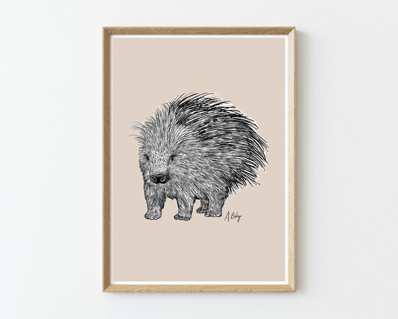 Porcupine Art Print | Porcupine Wall Art | Customizable Prints | Drawing | Wildlife Prints | Nature Prints | Large Wall Art | animal prints