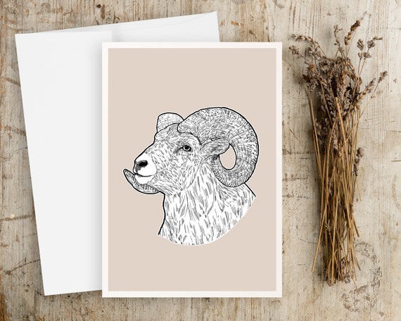 Bighorn Sheep Greeting Card | Blank Greeting card | Any Occasion Greeting Card | Animals Greeting Card |Drawing | Wildlife Greeting Card