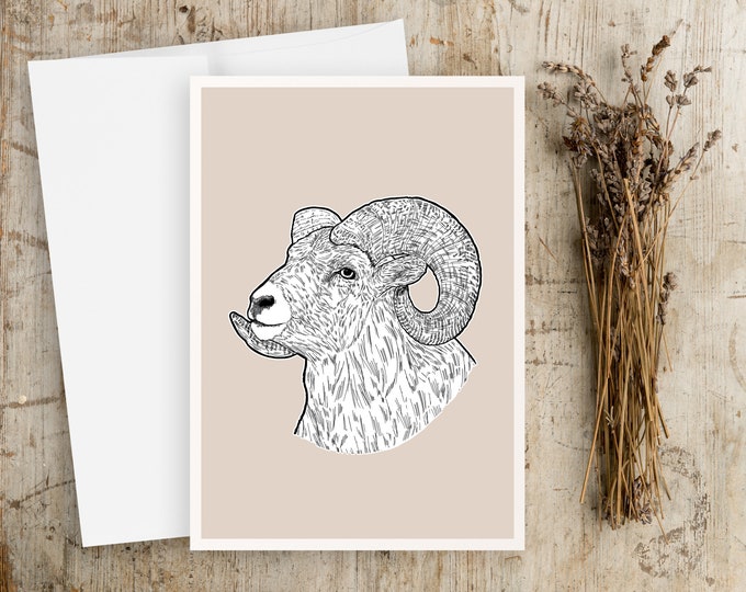 "Rocky Mountain Bighorn" - Pen and Ink Drawing Note Cards