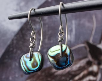 tropical beach chic abalone paua shell earrings with hypoallergenic titanium earwires