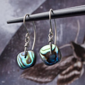 tropical beach chic abalone paua shell earrings with hypoallergenic titanium earwires