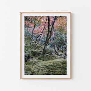 Japanischer Zen Garten im Herbst Fine Art Print. Landschaftsfotografie in Kyoto. Japan Fotografie. Herbstliche Geschenke. Wandbild Wald