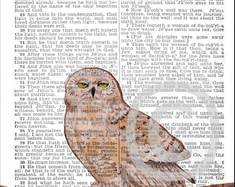 OWL Art Print©   4x6 or 5x7 or 8x10 BIBLE Page S John 4 Necessity of Regeneration  Owl bird INSTANT Digital Download