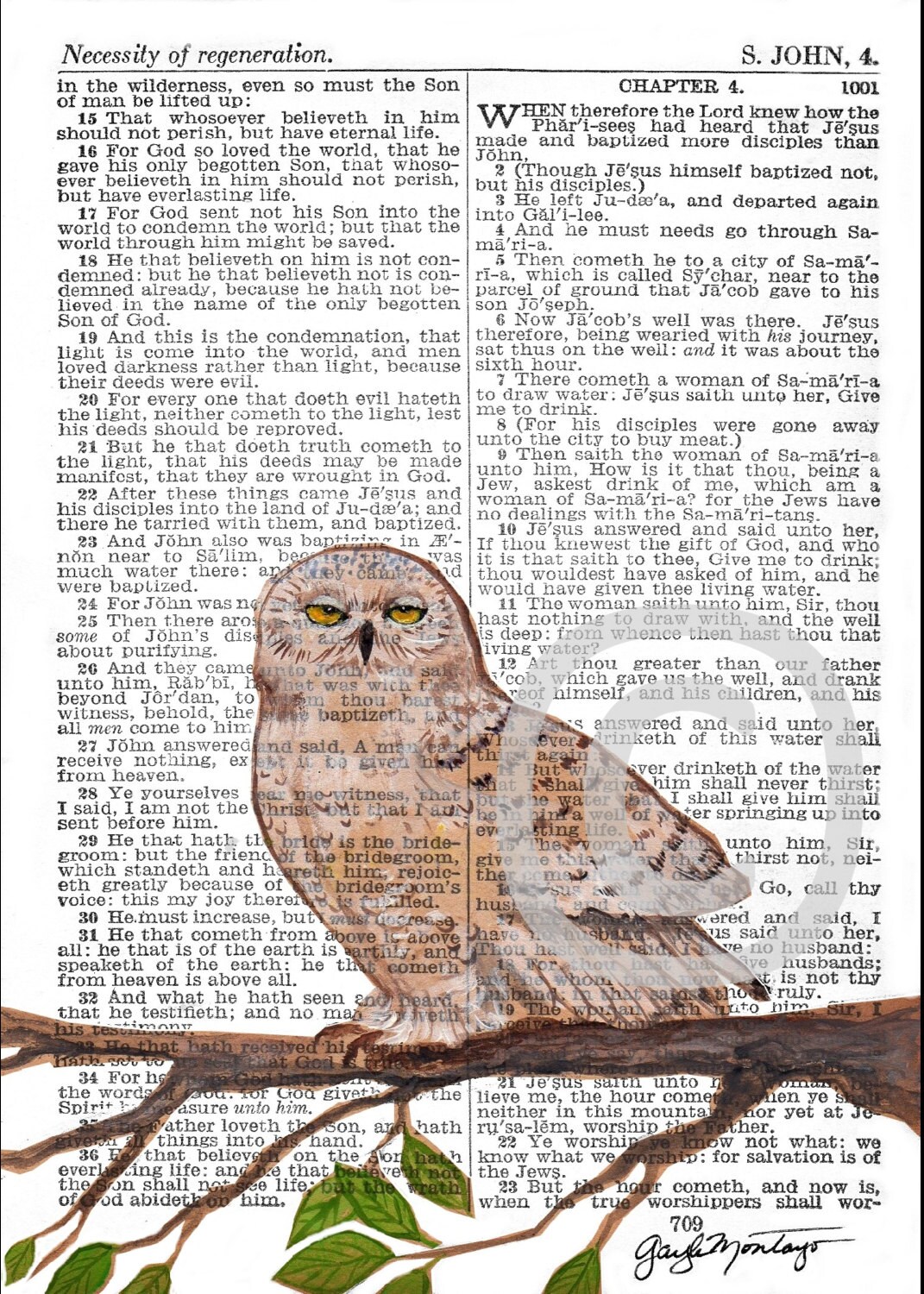 OWL Art Print© 4x6 or 5x7 and 8x10 BIBLE Page S John 4 Necessity of Regeneration Owl bird IN