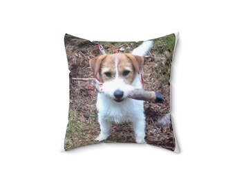 Cute Dog pillow.