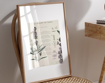 Vintage lavender botanical poster A4 – Plant illustration wall art, eco friendly print, timeless natural home decor
