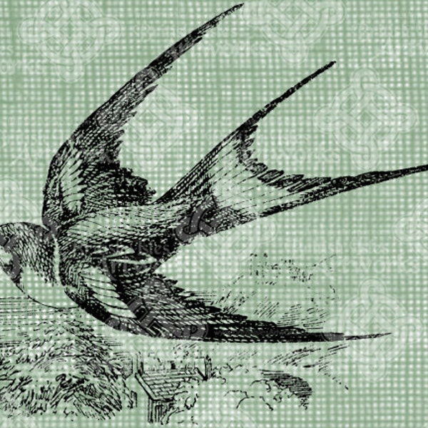 Digital Download Vintage Bird Illustration, Flying Barn Swallow digi stamp, digis, digital graphic, Swooping Bird Antique Illustration