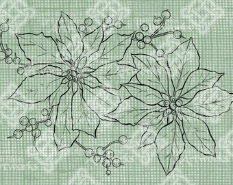 Digital Download Poinsettia Color Book Style Colorbook digi stamp, digis, digital stamp, Christmas Flowers, Antique Illustration Transfer