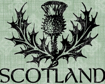 Digital Download Scotland Thistle, timbro digitale, francobollo digitale, illustrazione antica, scozzese, trasferimento digitale, tipografia, png trasparente