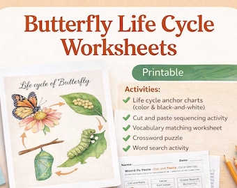 Butterfly Life Cycle Worksheet | Science | Kid worksheets | Homeschool printable worksheets | PDF