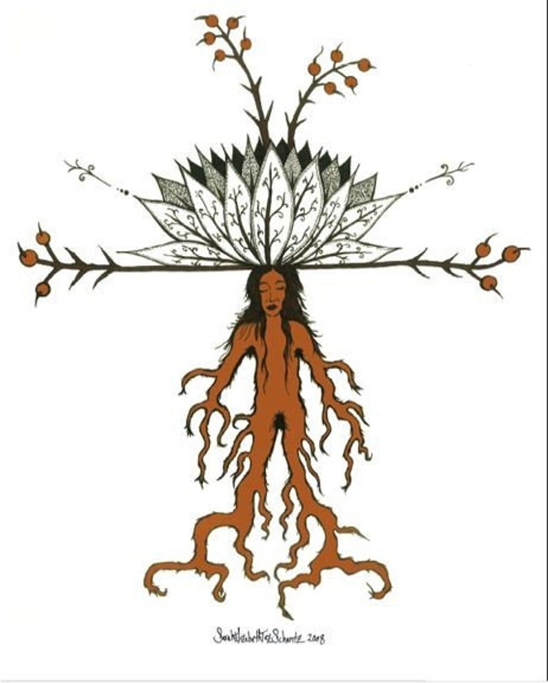Mandrake, A Greeting Card Set of Four image 1