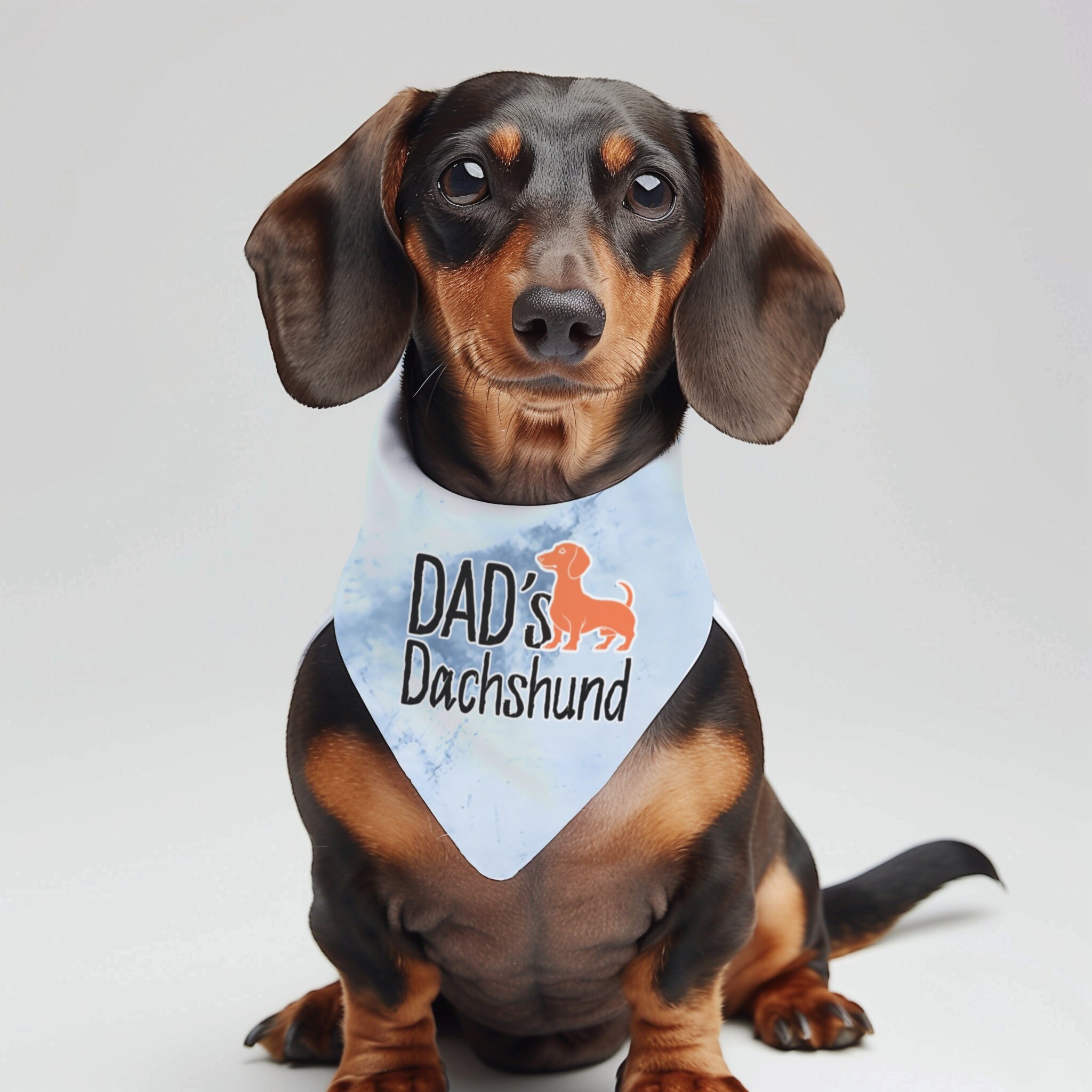 Dog swag clothes hot sale