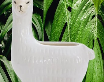 White Llama Animal planter Succulent Window plants