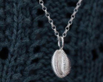 Silver Cowrie Shell Pendant: Cornish Seashell Necklace