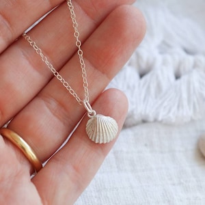 May include: A silver necklace featuring a dainty seashell pendant. The shell is intricately detailed, making it a charming piece of jewellery for those who love the seaside.