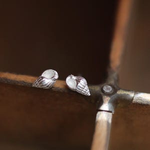 May include: Two small, silver-colored seashell stud earrings. The earrings are detailed with ridges and a spiral design, resting on a wooden surface. The earrings are a nautical-themed jewelry item.