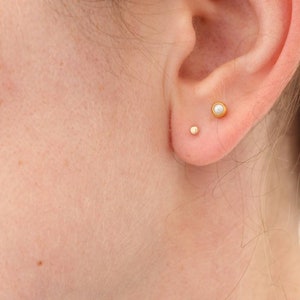 The smaller 2.5mm tiny gold dot stud shown in the main lobe piercing with another larger stud in the second lobe piercing to show scale.