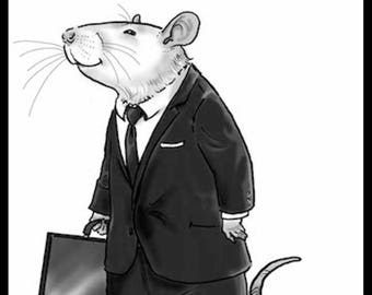 Rat Race Lawyer