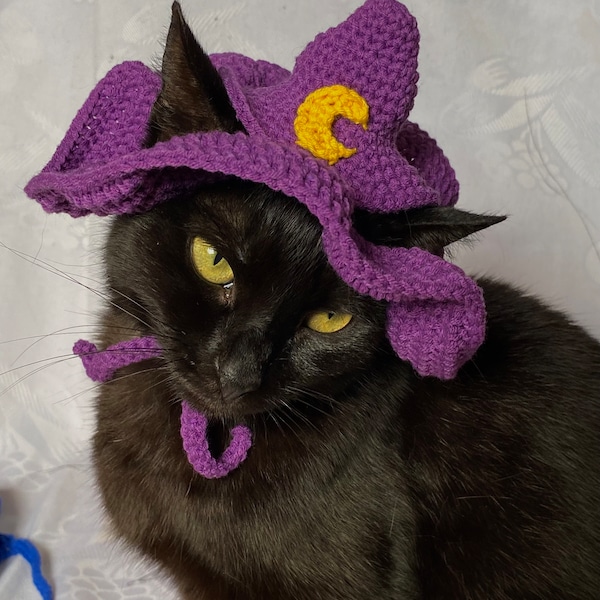 Witch Hat for Cat Pattern