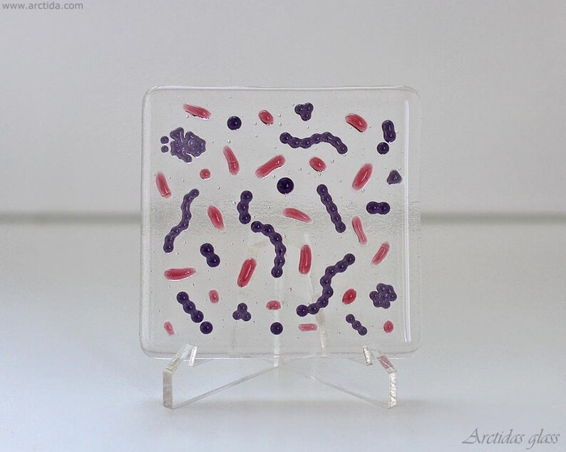 Gram stained bacteria glass art panel Microbiology desk decor Medical Science home decor laboratory scientist Biology lab Unique gift idea image 5