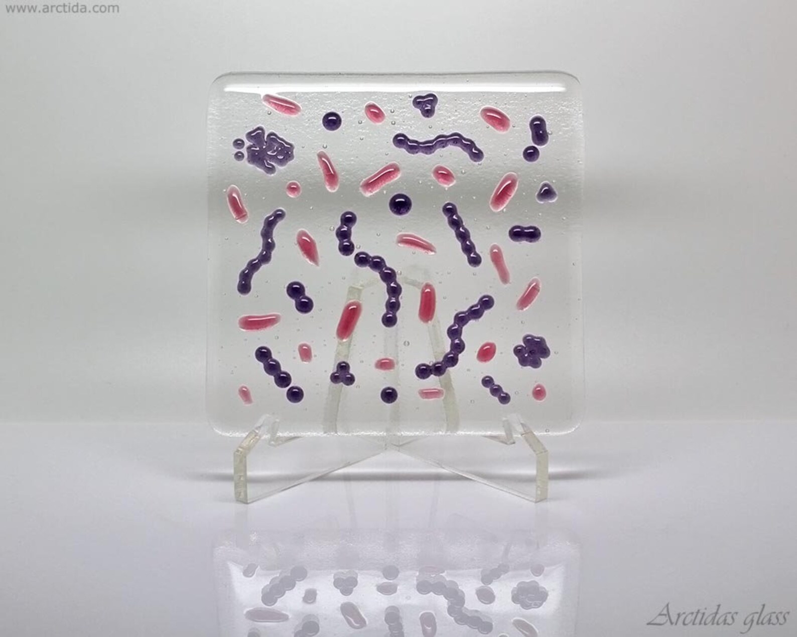 Gram Stained Bacteria Glass Art Panel Microbiology Desk Decor Medical ...