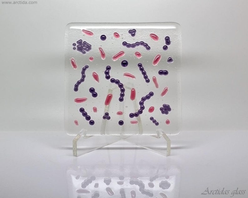 Gram stained bacteria glass art panel Microbiology desk decor Medical Science home decor laboratory scientist Biology lab Unique gift idea image 4