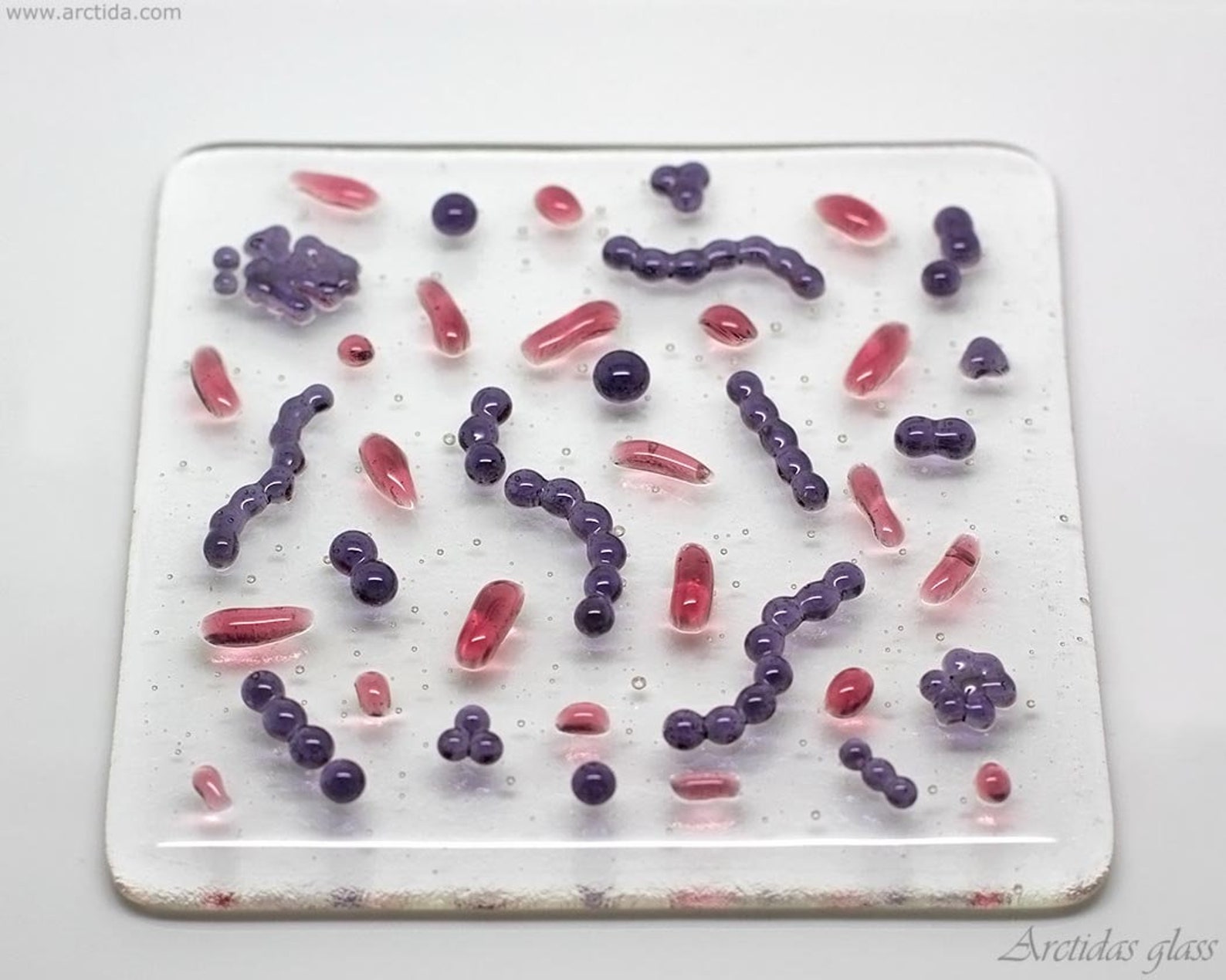 Gram Stained Bacteria Glass Art Panel Microbiology Desk Decor Medical ...