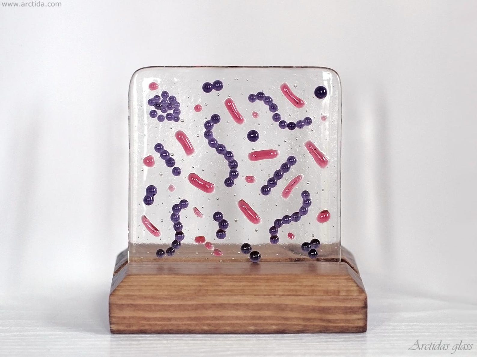 Gram Stained Bacteria Glass Art Panel Microbiology Desk Decor Medical ...
