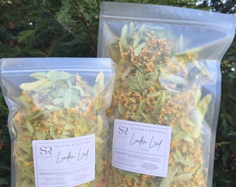 Tisana rigenerativa biologica a base di foglie e fiori di tiglio / Tilia argentum / Erbe aromatiche