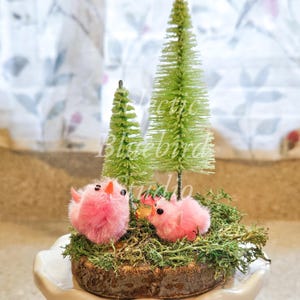 May include: A miniature woodland scene with two pink fuzzy birds nestled in moss on a wood slice. Two green bottle brush trees stand tall behind the birds.