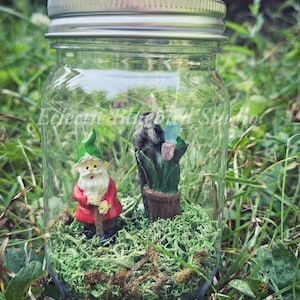 Gnome in a jar, gnome garden, gnome in a jar garden, gnome figurine, adopt a gnome