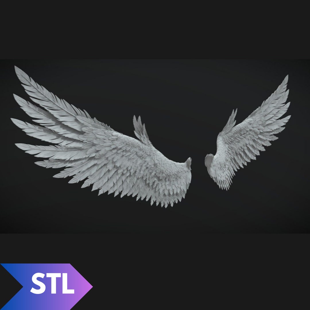 STL FILES for 3D Printing, 3d Wing Drawing, 3d Print Stl, 3d Printer ...