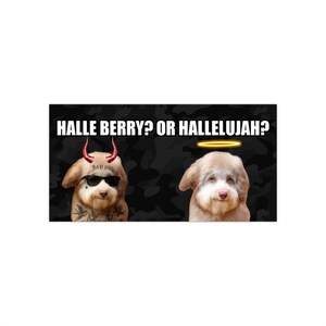 May include: A humorous meme featuring two dogs. One dog is depicted as a devil with horns, sunglasses, and tattoos, while the other has a halo. The text reads "HALLE BERRY? OR HALLELUJAH?" against a camouflage background.