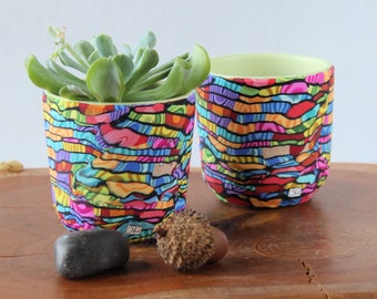 Set of 2 Mini Colorful Succulent Planters - Indoor Décor