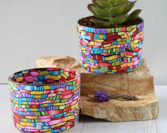 Set of 2 Bright & Colorful Small Succulent Planters