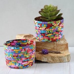 Set of 2 Bright & Colorful Small Succulent Planters