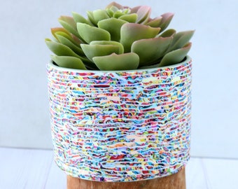 Calm & Colorful Indoor Succulent Planter - Elegant Design