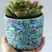 see more listings in the Medium & Big Planters section