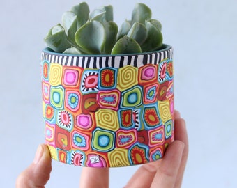 Small colorful indoor pot for plants and succulents