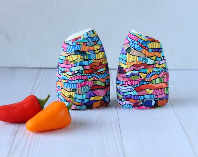 Funky Colorful Salt and Pepper Shakers