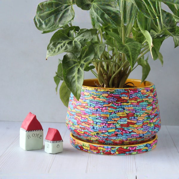 Colorful Indoor Pot for Plants with a Drainage Saucer, Bright and Vibrant Statement Indoor Planter