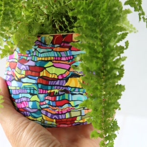 Colorful Indoor Medium Planter with Drainage hole image 4