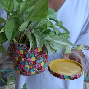 Colorful Indoor Plant Pot With Drainage Plate