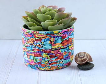 Bright and Vibrant Colorful Indoor Succulent Planter