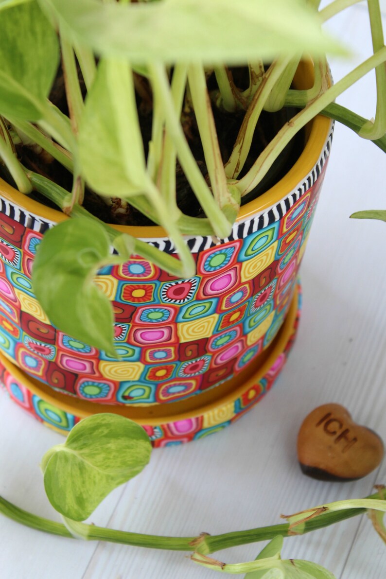 Colorful Indoor Plant Pot With Drainage Plate