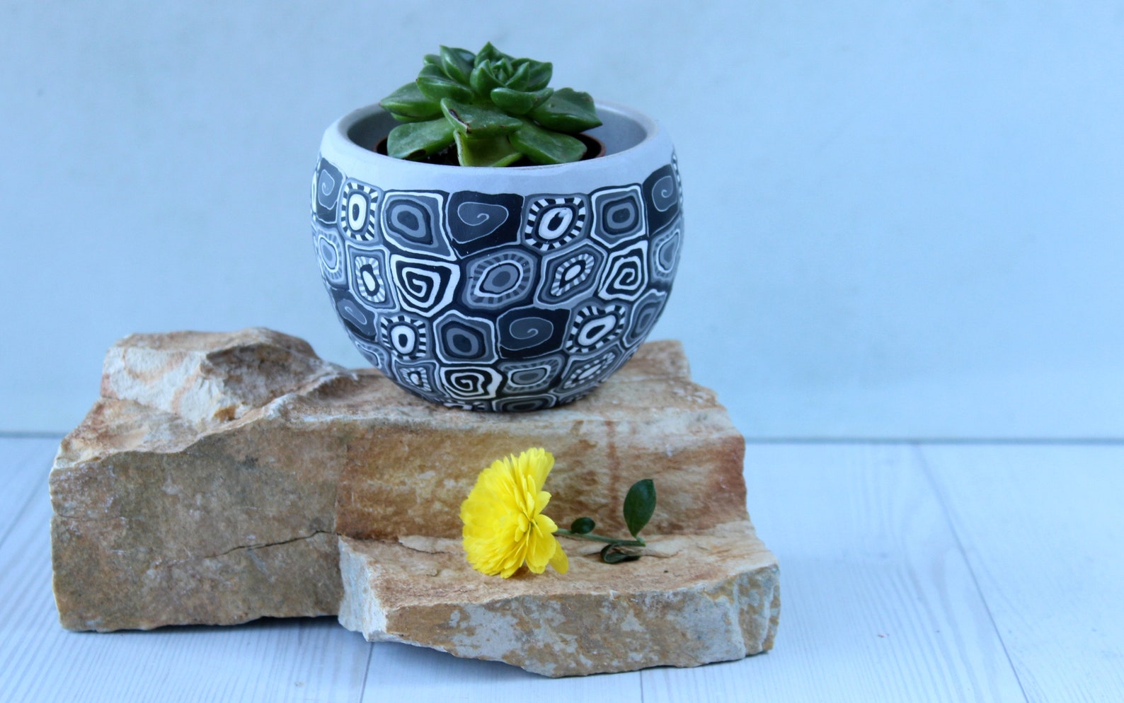 Small black and white indoor pot for plants and succulents Etsy