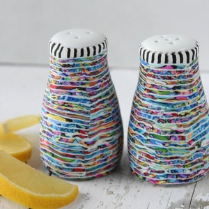 Vibrant Salt & Pepper Shakers, Unique Kitchen Decor in Colorful Designs