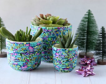 Colorful Cylindrical Succulent Indoor Planter Trio