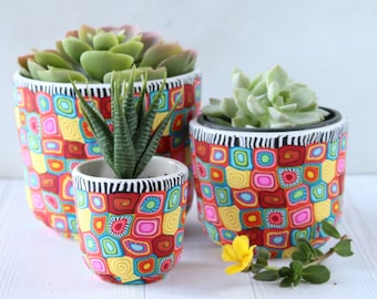 Succulent Indoor Planter Trio - Colorful & Vibrant Cylindrical Design